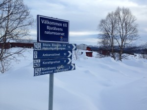 Bjurälven nature reserve